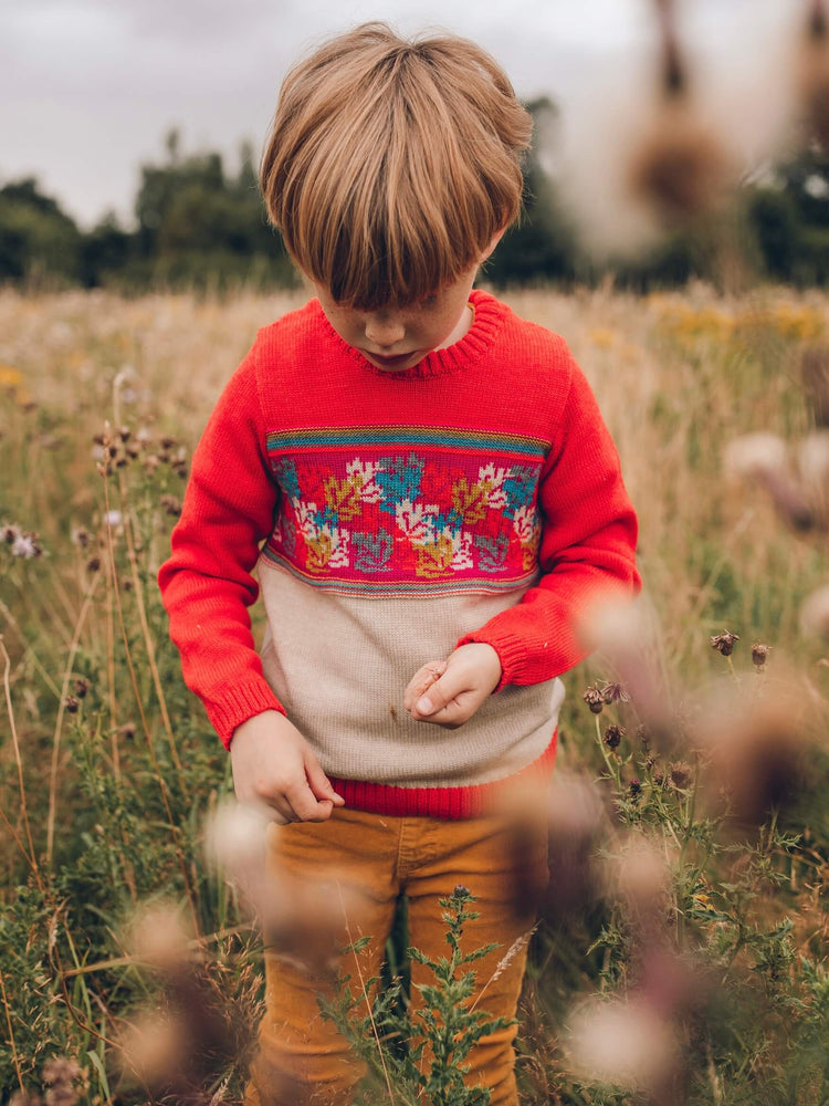 A young boy wearing The Faraway Gang's 'Adventurer' Knitted Jumper stands in a field of tall grass.