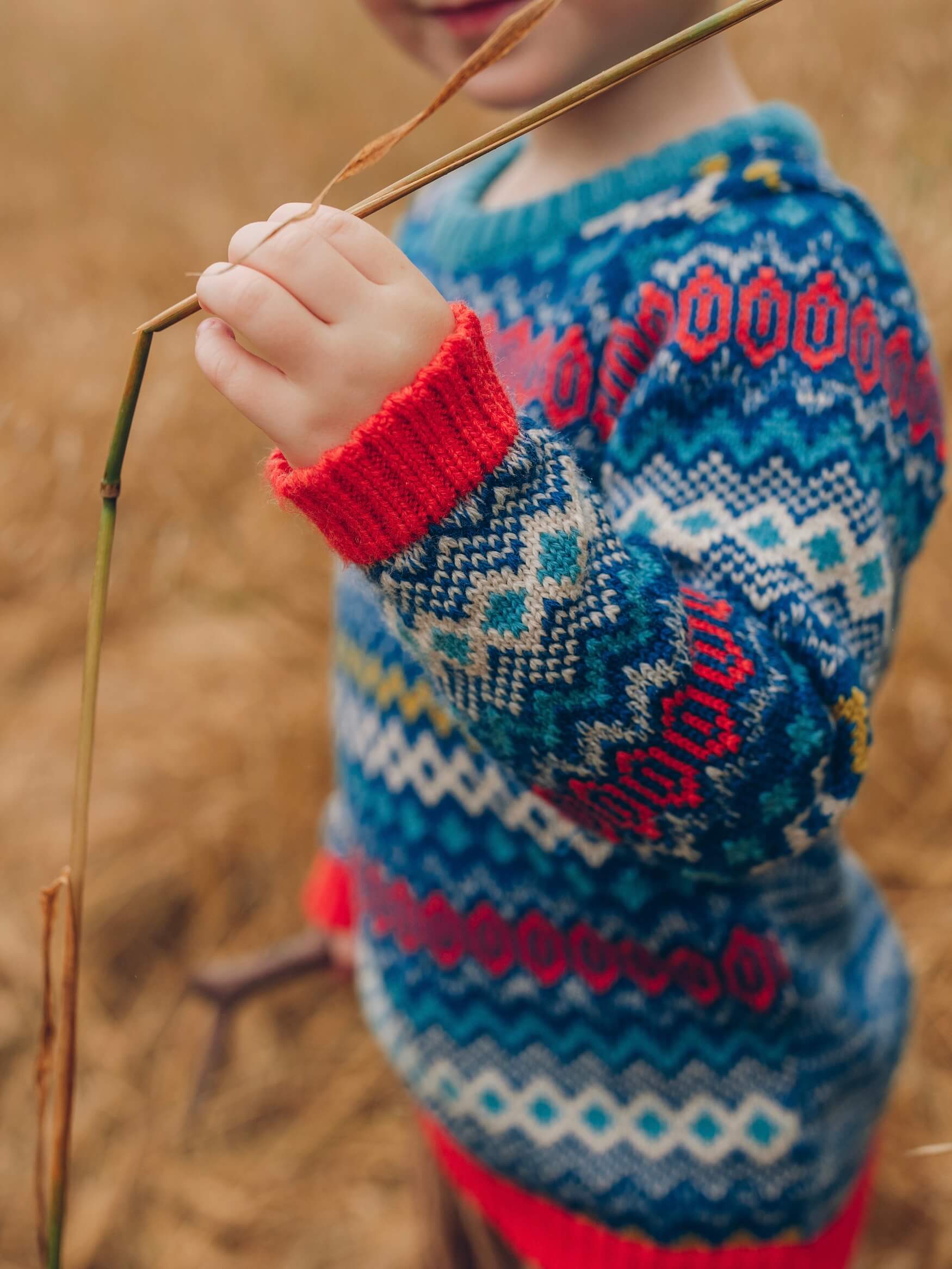 A little boy standing in a field holding a stick wearing 'The Daydreamer' Knitted Jumper from The Faraway Gang.