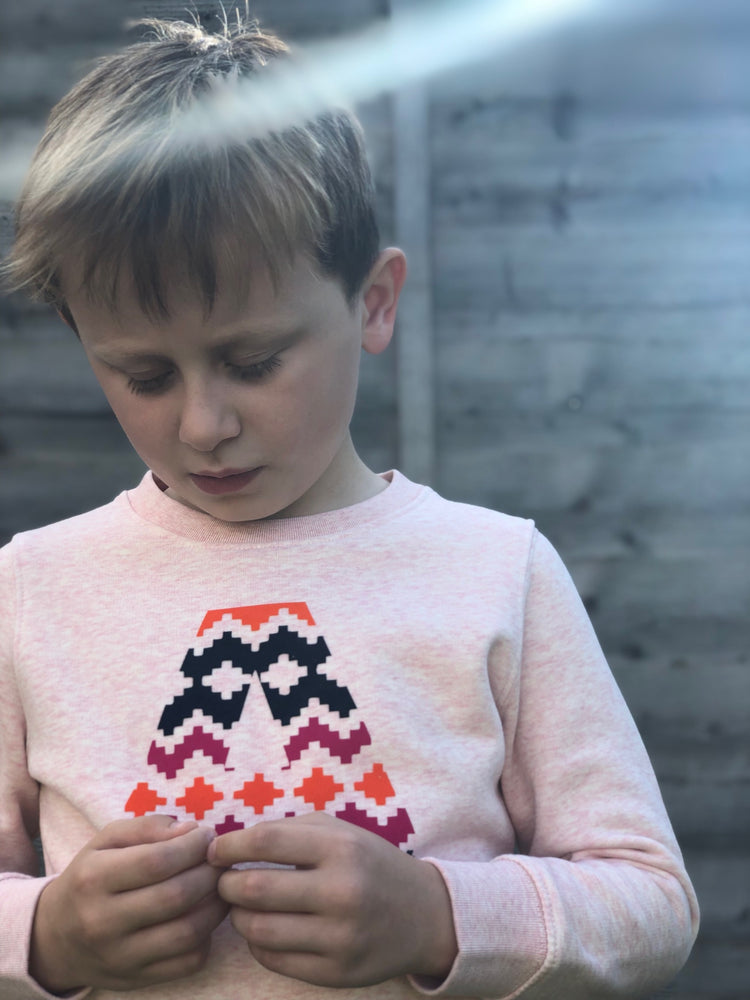 
            
                Load image into Gallery viewer, a little boy wearing a &amp;#39;Narrator&amp;#39; Sweatshirt by The Faraway Gang in pink.
            
        