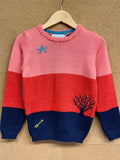 The Stargazer Jumper.